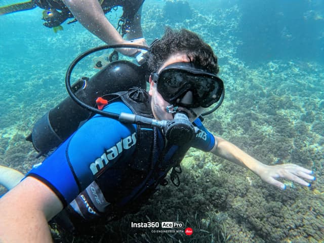 Plongeur en combinaison bleue évoluant au-dessus d'un récif, filmé avec une caméra sous-marine