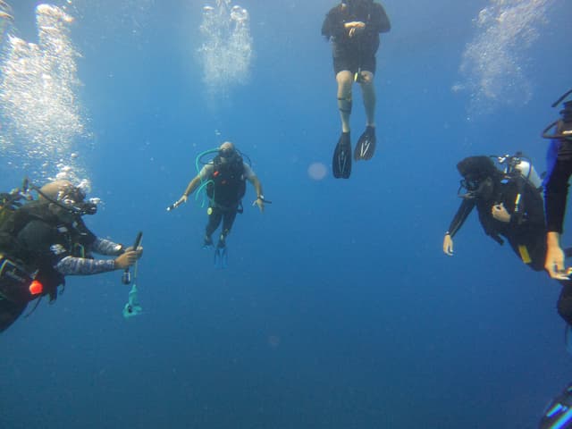 Palanquée de plongeurs du Club SEC 17 en pleine eau lors d'une plongée d'exploration